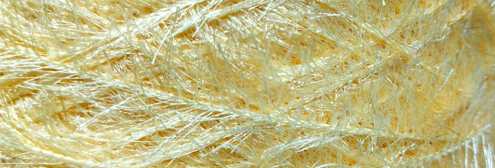 گروه تولیدی سلن یوموش